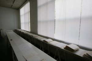 04-Kokon-HansStevens2011