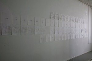 05-Kokon-HansStevens2011